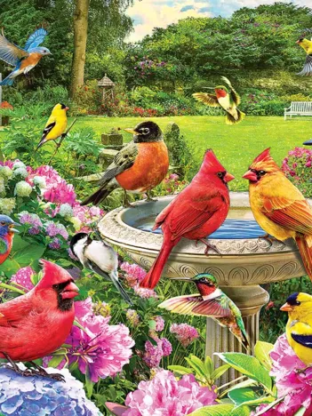 Produit Rassemblement D'Oiseaux Image