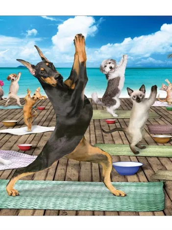 Produit Pièces XXL - Yoga Spa Image