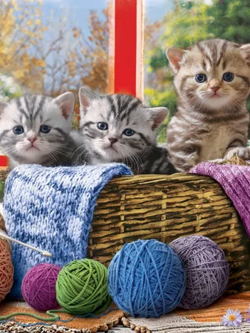 Produit Pièces XXL - Knittin' Kittens Image