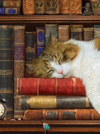 Produit Pièces XXL - The Cat Nap Image