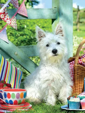 Produit Pièces XXL - Scottie Dog Picnic Image