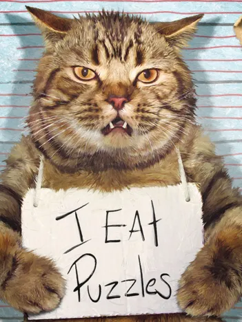 Produit Pièces XXL - Felon Félin Image