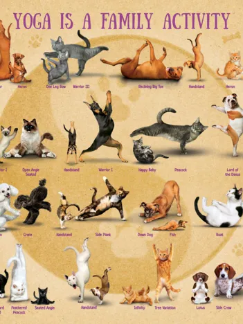 Produit Pièces XXL - Yoga is A Family Activity Image