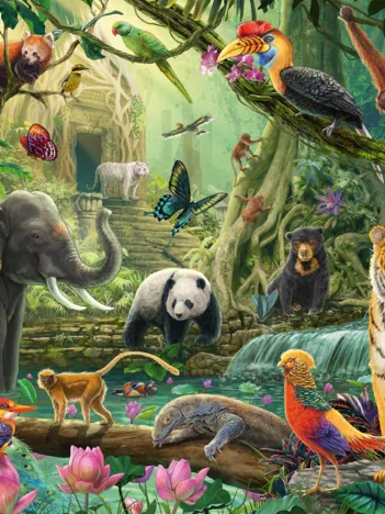 Produit Les Animaux de la Jungle Image