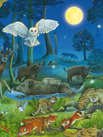 Produit Animaux dans la Forêt Nocturne Image