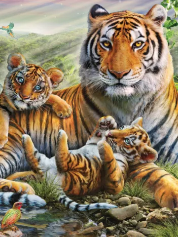 Produit Famille de Tigres Image