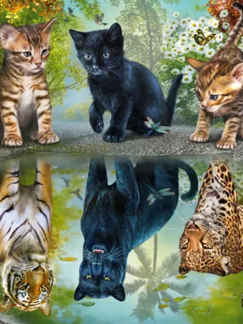 Produit Rêvez en Grand ! Image