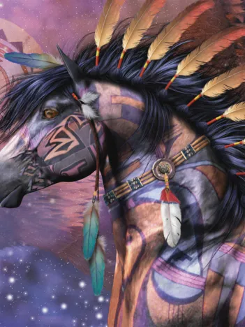 Produit Chamans Image