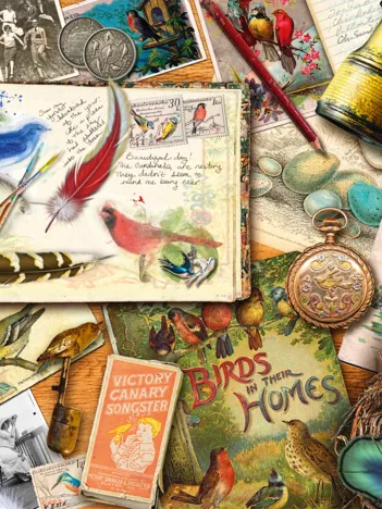 Produit Sur la Table - Observation Des Oiseaux Image