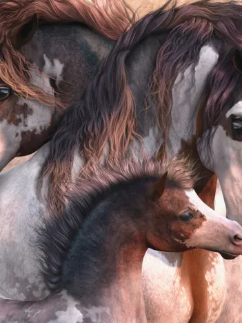 Produit Pintos Image