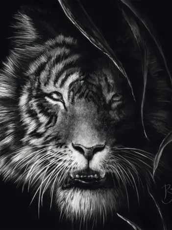 Produit Indompté – Le Tigre : Sous le Signe de la Liberté Image