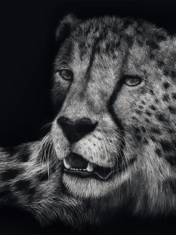 Produit Véloce – Le Guépard : Sous le Signe de la Grâce Image