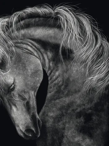 Produit Puissant – Le Cheval : Sous le Signe de la Force Image