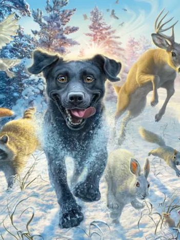 Produit Labrador Noir dans la Neige Image