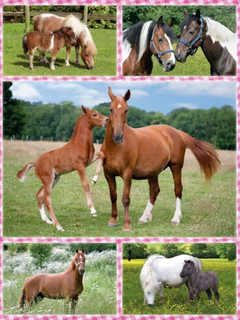 Produit Rêves de Cheval Image