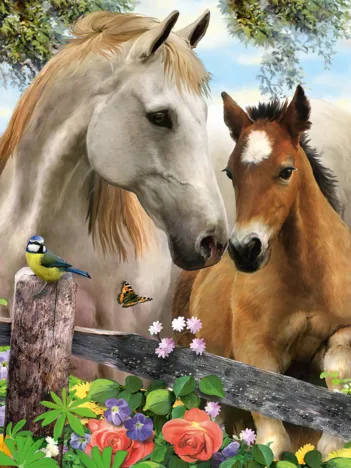 Produit Jument et Poulain Image