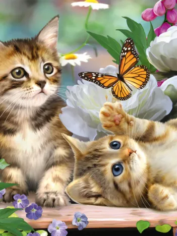 Produit Chatons Espiègles Image