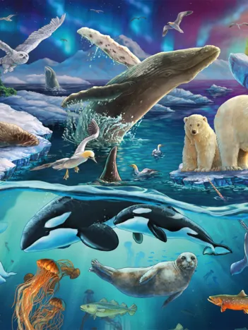 Produit Les Animaux du Grand Nord Image