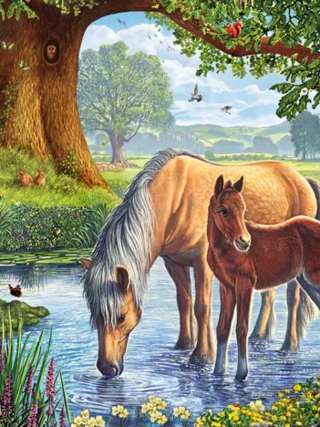 Produit Chevaux dans le Ruisseau Image