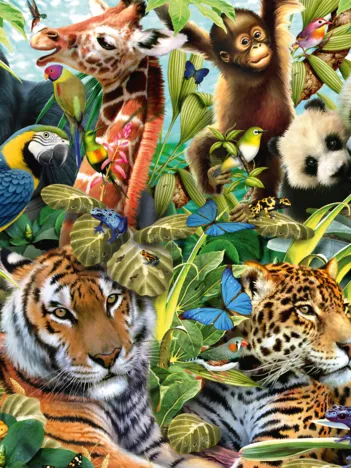 Produit Faune colorée Image