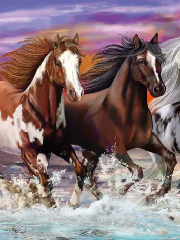 Produit Trio de Chevaux Sauvages Image