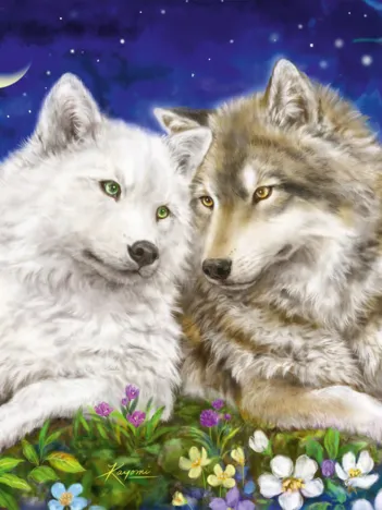 Produit Amitié entre Loups Image