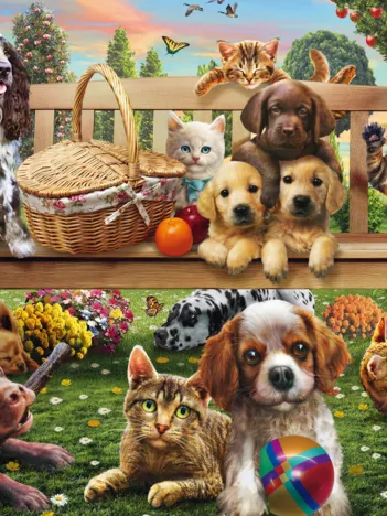 Produit Chiens et Chats Image