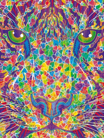 Produit Coeur Sauvage - Tigre Image