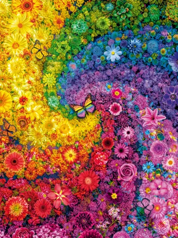 Produit Tourbillon de Fleurs Multicolores Image