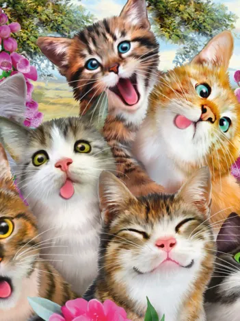 Produit Cats' Selfy Image