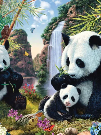 Produit Famille de Pandas Image