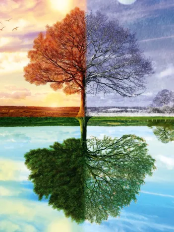 Produit Arbre des 4 Saisons Image