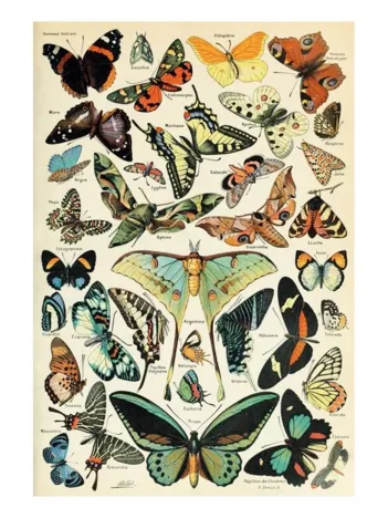 Produit Puzzle en Bois Découpé à la Main - Les Papillons Image