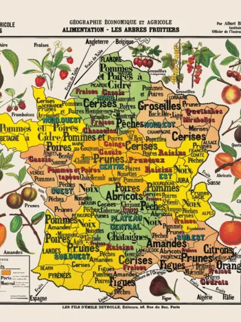 Produit Puzzle en Bois Découpé à la Main - Carte De France Des Fruits Image