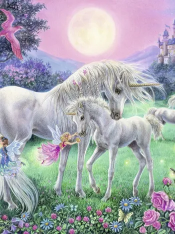 Produit Licornes Image