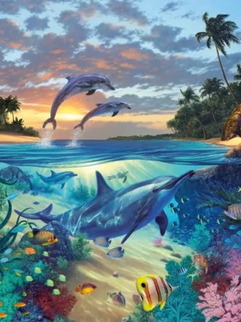 Produit Coraux Image