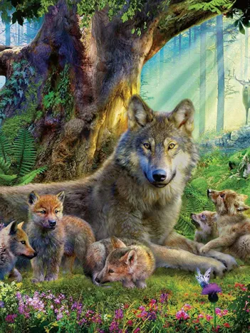 Produit Famille de Loups dans la Forêt Image