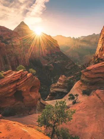 Produit Nature Edition 19 - Parc National de Zion Image