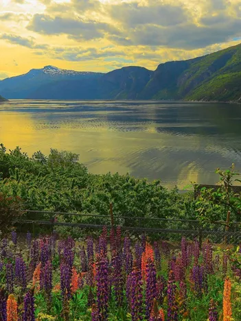 Produit Fjord en Norvège Image