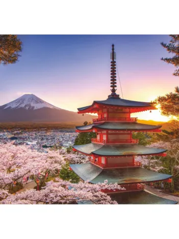 Produit Cerisiers en Fleurs - Japon Image