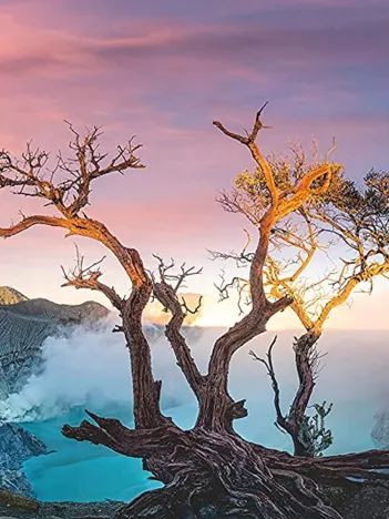 Produit Nature Edition 21 - Lac Sulfurique Image