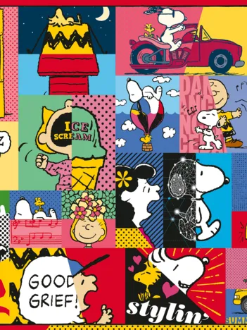 Produit Snoopy Image