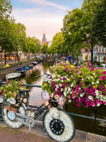 Produit Fleurs À Amsterdam Image