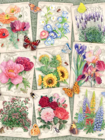 Produit Affiches de Fleurs Image