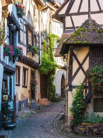 Produit Eguisheim en Alsace Image