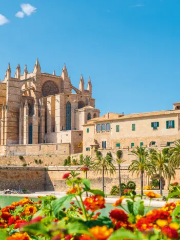 Produit La Cathédrale de Majorque Image