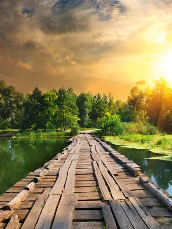 Produit Nature Edition N°3 : Lumière Mystique Image