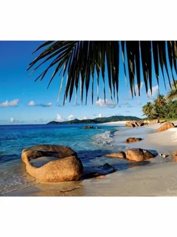 Produit Derrière les palmiers Image