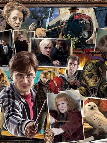 Produit Harry Potter (TM) Image