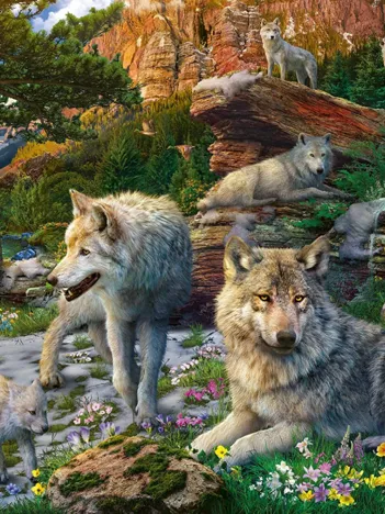 Produit Wolves in the Spring Image